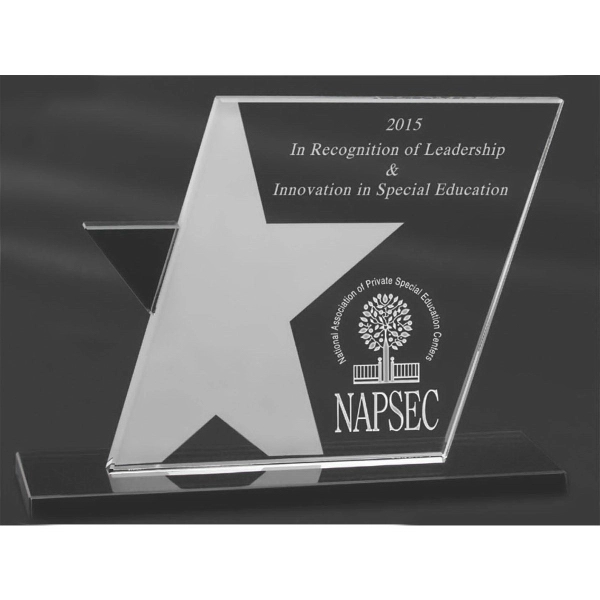 Ebony Star Award