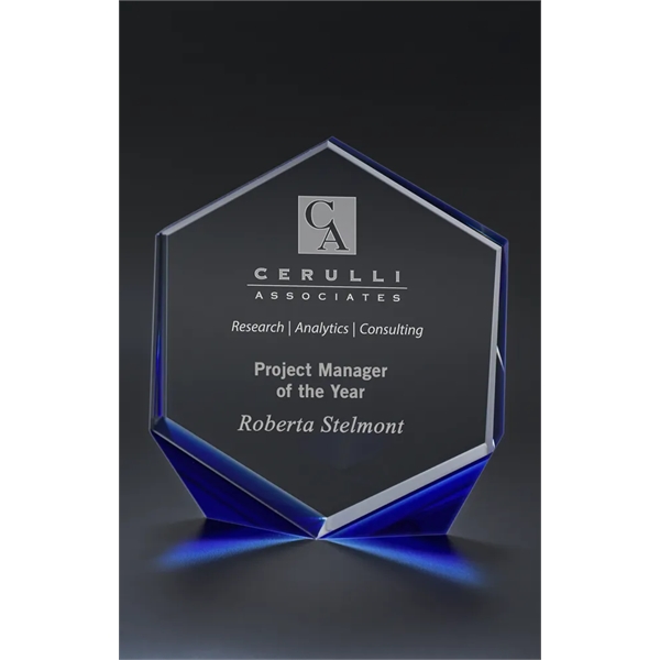 Omni Award
