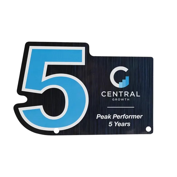 Acrylic Award - Custom Shape 10"