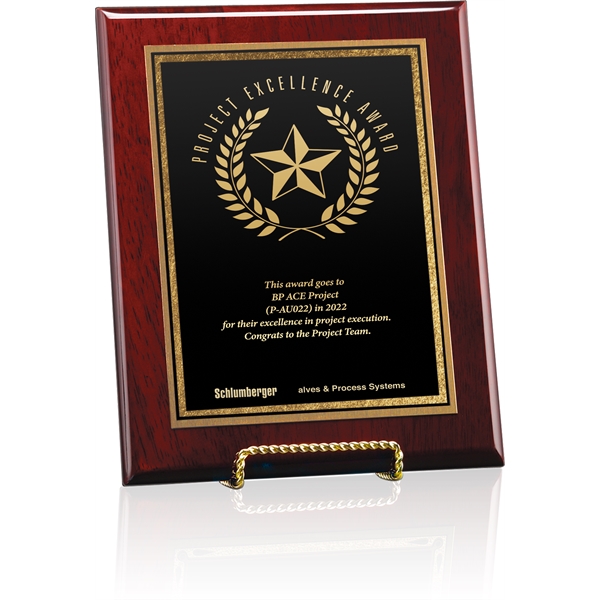 Large Barrister Plaque